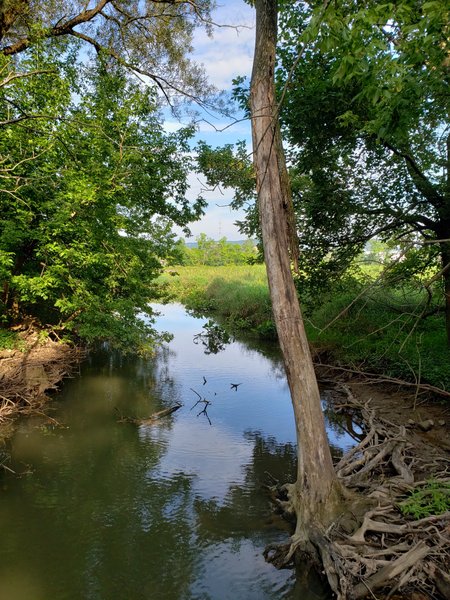 Friends of Wildwood Lake Nature Center, Inc. photo 4