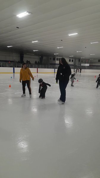 Enfield Twin Rinks photo 2