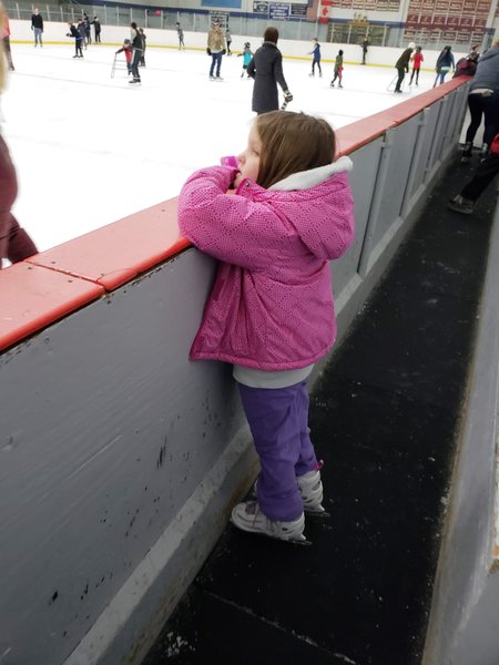 Enfield Twin Rinks photo 4