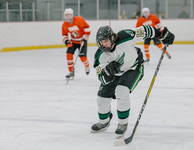 Enfield Twin Rinks photo 6