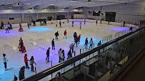 Benton H. Wilcoxon Municipal Ice Complex photo 2