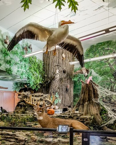 Eco Center at Rock Creek photo 2
