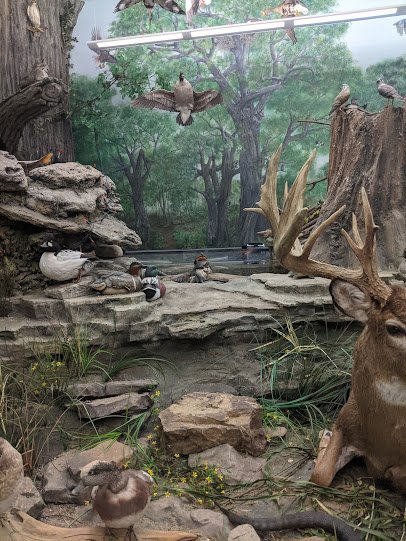 Eco Center at Rock Creek photo 4