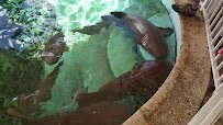 Sandoway Discovery Center photo 2