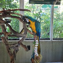 Sandoway Discovery Center photo 4