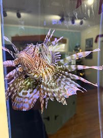 Sandoway Discovery Center photo 6
