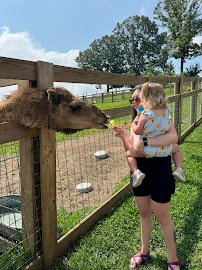 Mitchell's Petting Zoo & Exotics