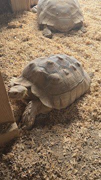 Mitchell's Petting Zoo & Exotics photo 4