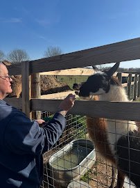 Mitchell's Petting Zoo & Exotics photo 5