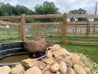 Mitchell's Petting Zoo & Exotics photo 6