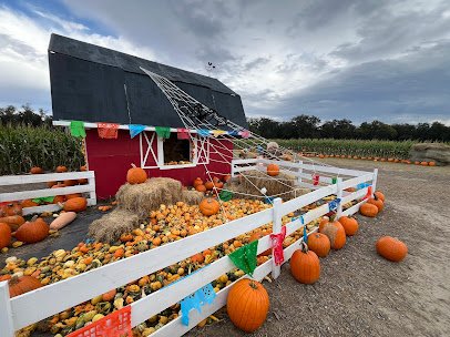 Sweet Eats Adventure Farm & Petting Zoo photo 4