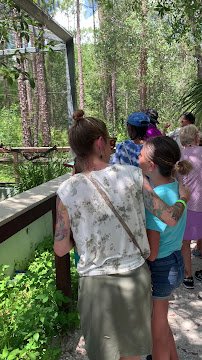 Raptor Aviary @ The Calusa Nature Center & Planetarium photo 2