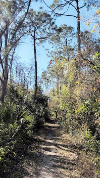 Raptor Aviary @ The Calusa Nature Center & Planetarium photo 5