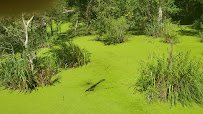 Chehaw Park & Zoo photo 2