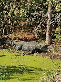 Chehaw Park & Zoo photo 5