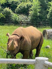 Chehaw Park & Zoo photo 6