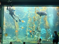 Birch Aquarium
