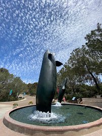 Birch Aquarium photo 3
