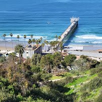 Birch Aquarium photo 4