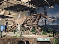 Glazer Children's Museum photo 4