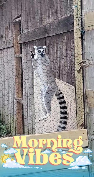 Wild Acres Hands-on Animal Experience - Reservation Required photo 2