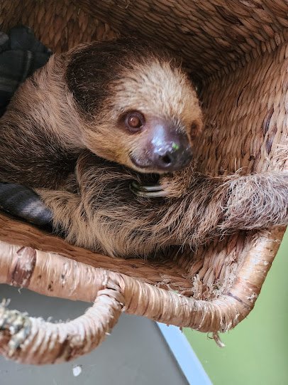 Wild Acres Hands-on Animal Experience - Reservation Required photo 3