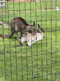 Saginaw Children's Zoo photo 6