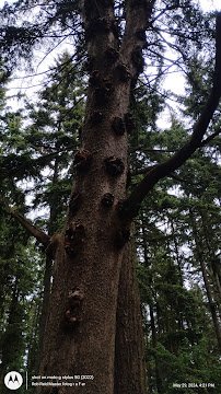 Northacres Spraypark photo 5