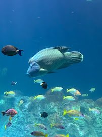 Sobela Ocean Aquarium