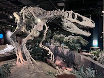 McWane Science Center photo 5