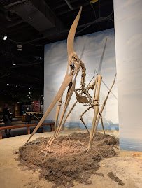McWane Science Center photo 6