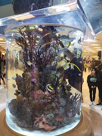 Scheels' Aquarium