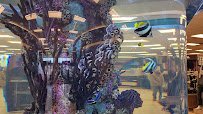 Scheels' Aquarium photo 2