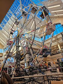Scheels' Aquarium photo 3