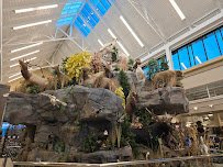 Scheels' Aquarium photo 4