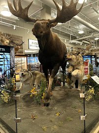 Scheels' Aquarium photo 5