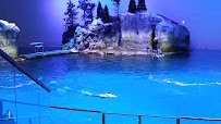 Shedd Aquarium photo 2