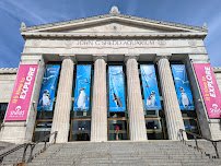 Shedd Aquarium photo 3