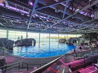 Shedd Aquarium photo 5