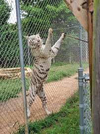 Zootastic Park photo 4