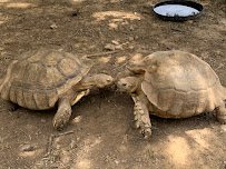 Zootastic Park photo 6