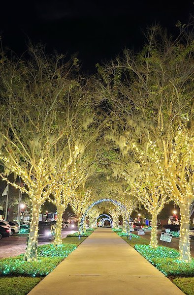 Winter Garden Interactive Fountain & Splashpad photo 6