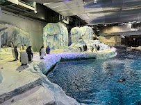 Polk Penguin Conservation Center photo 3