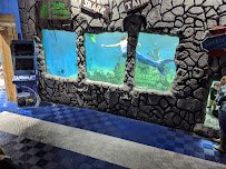 East Idaho Aquarium photo 3
