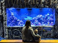 East Idaho Aquarium photo 6