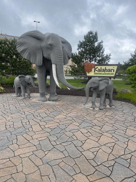 Kalahari photo 6