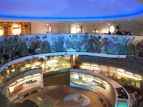 Flint Hills Discovery Center photo 3