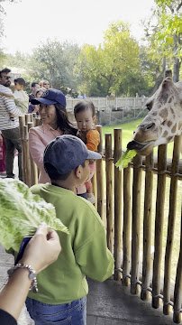 General Store at Fort Worth Zoo photo 2