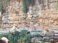 General Store at Fort Worth Zoo photo 3