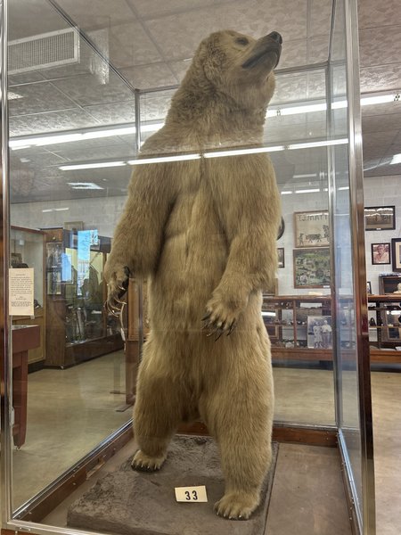 Jeff Matthews Museum